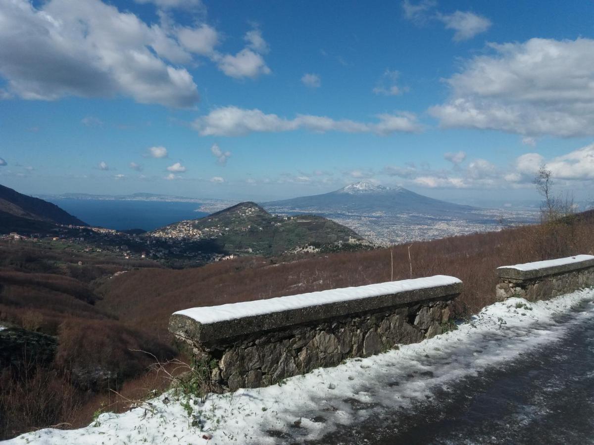 IL CEPPO sui sentieri per Amalfi Bed and Breakfast Pimonte Esterno foto