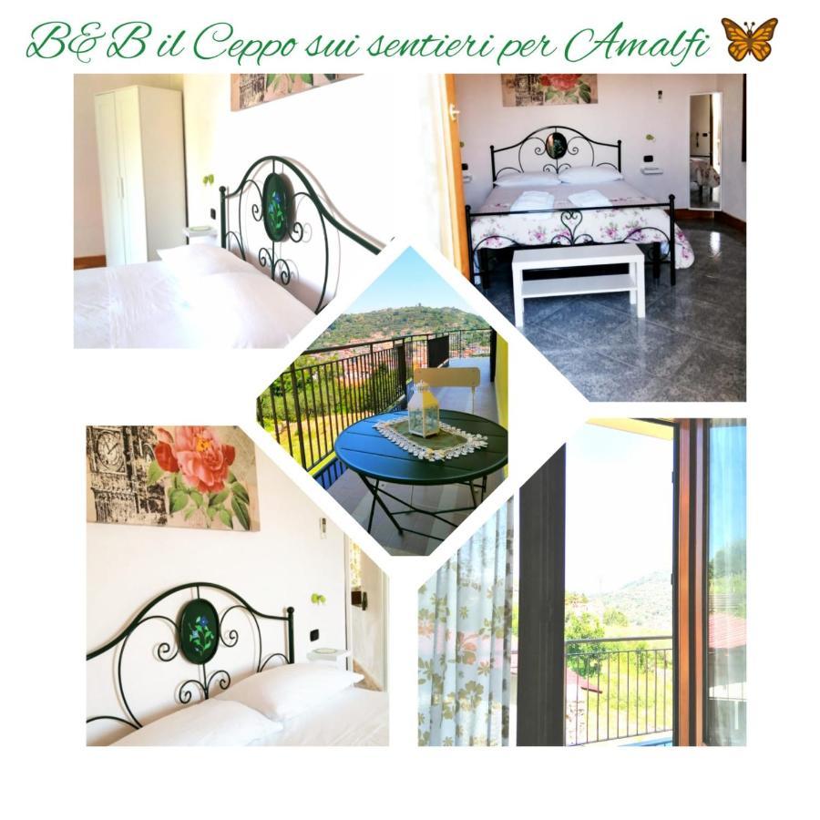 IL CEPPO sui sentieri per Amalfi Bed and Breakfast Pimonte Esterno foto