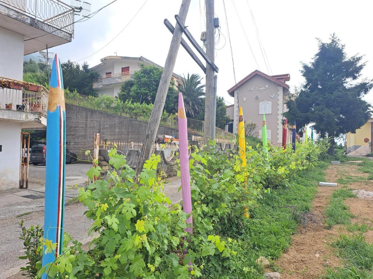 IL CEPPO sui sentieri per Amalfi Bed and Breakfast Pimonte Esterno foto